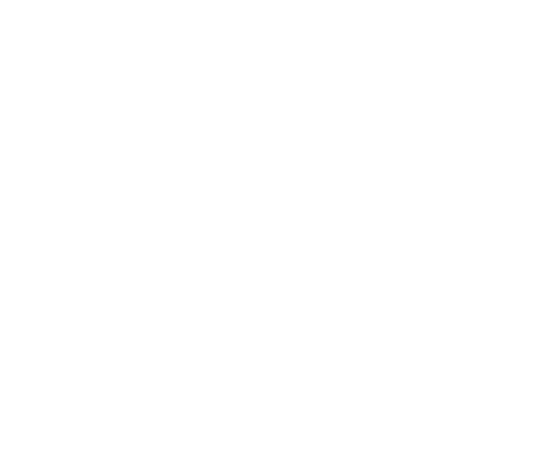0.100ブランディング